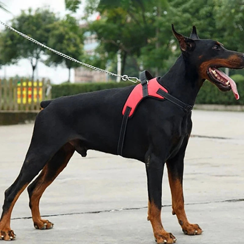 Comfortable Dog Vest Harness