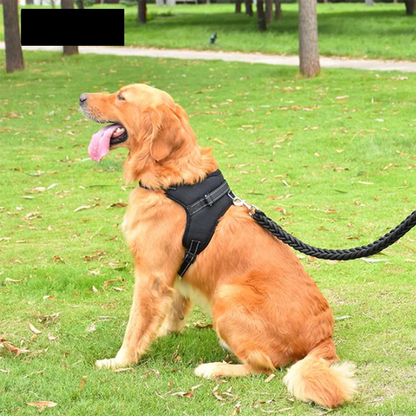 Comfortable Dog Vest Harness