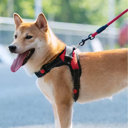 Comfortable Dog Vest Harness
